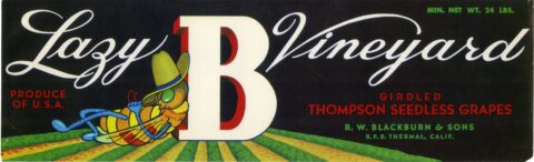 Lazy B Vineyard
